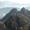 롯데마트 육교아래 이미지