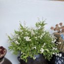 나들민박 이미지