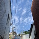 충렬초등학교 | 통영 서피랑국수집 솔직후기