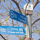 율포솔밭해변1 이미지