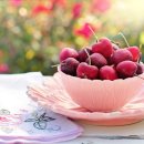 SY공인외국어번역행정사 이미지