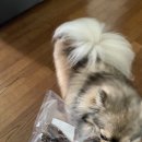 7월7일 치과의원 이미지