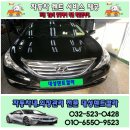 대성덴트칼라 이미지