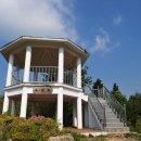 편백향기 이미지