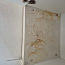 신라아파트 | 수원 호매실동 신라궁전타운 구축 아파트 입주청소 후기