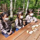 풍산초병설유치원 이미지