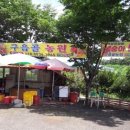 싱싱달달