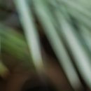 영림한의원 이미지