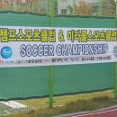 챔프스포츠클럽 이미지