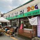 깡촌강쥐 이미지