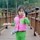 경화어린이집 이미지