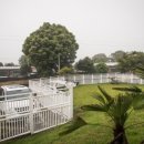 맘앤도그 이미지