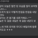 꽃피는견생 인천애견유치원 이미지