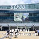 월드씨티라이프 | 부산 볼거리 벡스코 2025 월드스마트시티 엑스포 관람 후기