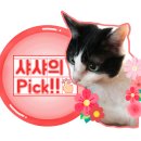 암돼지한마리 암소한마리