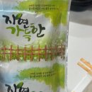 준 꽃벵이