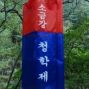 오대산 곤드레밥 이미지