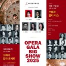 코리아오페라필하모니오케스트라 이미지