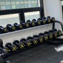 베리핏(VERY FIT) 이미지