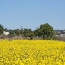 예래동사무소 이미지