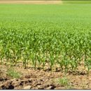 강남가축병원 이미지