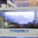 진두마을회관 이미지