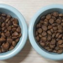 레츠 스테이 이미지