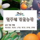현주네과일 - 중랑구 중랑역로 43 | 현주네과일