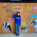 홀스타인 빌리지 | [고창] 상하농원 파머스빌리지 동물농장