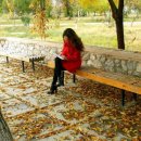 지혜의 심리학 이미지