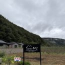 스테이 소안 이미지