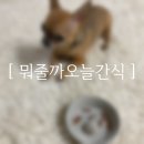 뭐줄까오늘간식 이미지