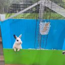 다솜생태체험관 이미지