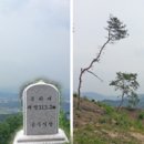 공주생명과학고 제2농장 이미지