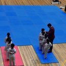 토월 소나무향기태권도장 | 사파동태권도, 기본기가 만든 자신감! 토월 소나무향기태권도장 국기원 승품·단 심사 이야기