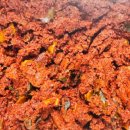 양지로14L 이미지