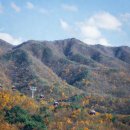 비슬산휴양림운동장 | 도심 속 힐링! 2025년 대구 근교 캠핑장 추천 BEST 10