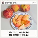청수농장 | 조치원복숭아 농장 청수농원복숭아 당도 실화야?