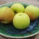 돌고래 펜션 이미지