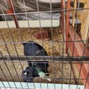 덕소자연사박물관 이미지