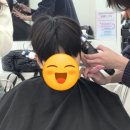 어반트렌트 - 129930 | 어반트렌트