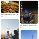 더조은여행사 - 유성구 용계로2번길 112 | 더조은여행사