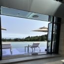 힐링산업 | [제주 워크샵 요가] 앰버퓨어힐 X 산업은행 힐링 클래스 후기