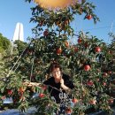 동문농장 이미지