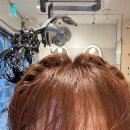 성가미용실 | 봉화산역미용실 준오헤어 신내홈플러스점 정재샘 뿌리펌 솔직한 후기