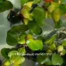 사곡초등학교 이미지