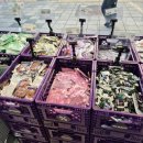 홍삼천국 | 뷰덕의 천국, 오프뷰티 서면점 방문 후기