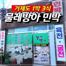 하얀집민박 | 1박 3식 거제도 물레방아 민박집 리얼 후기