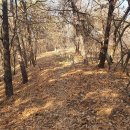 용산-194 이미지