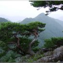 자작바위 이미지